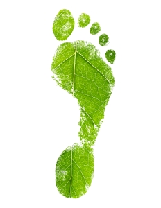 Fußabdruck grün