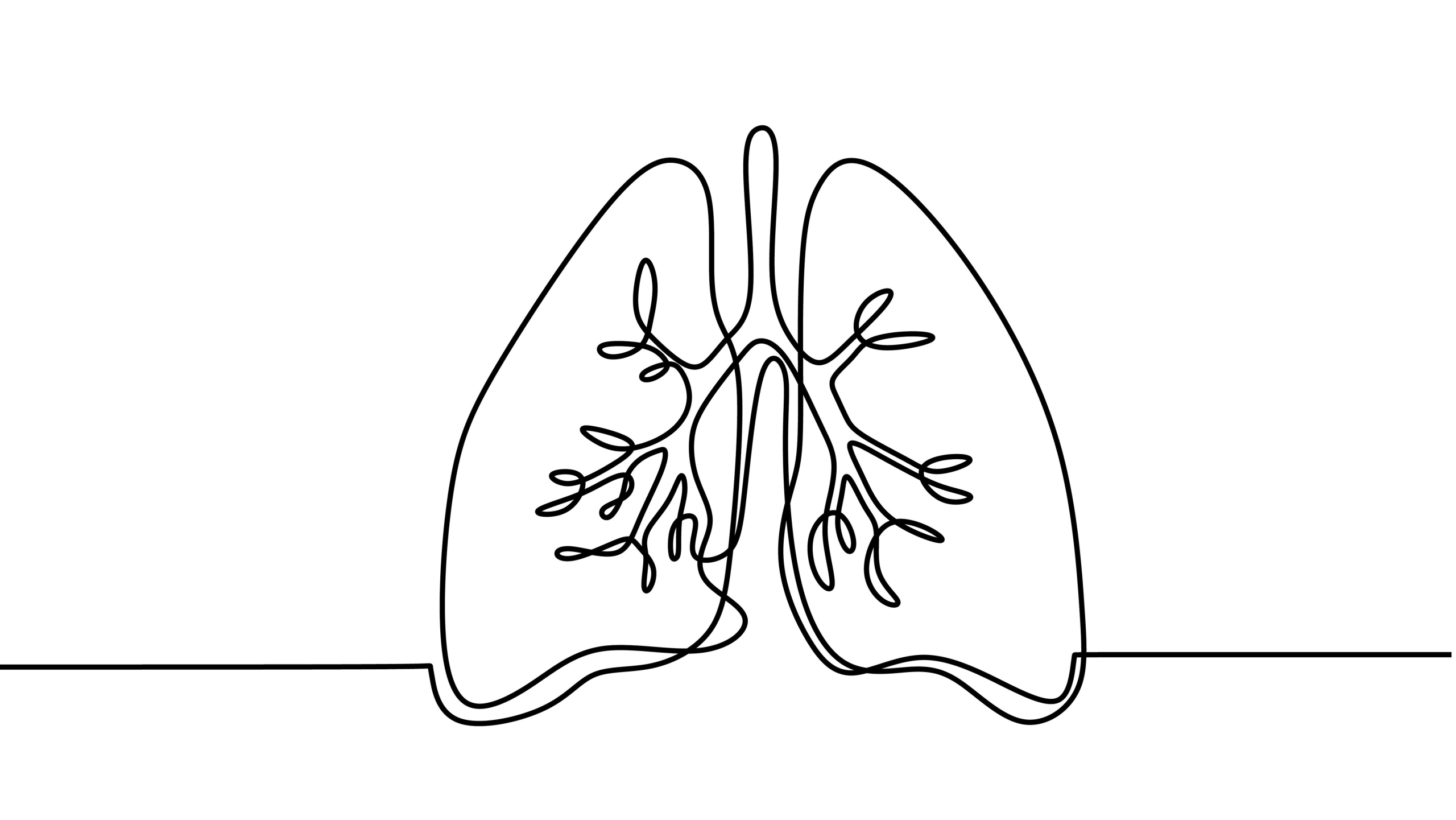 Lunge Grafik